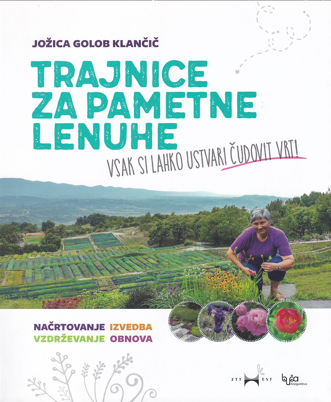 Trajnice za pametne lenuhe