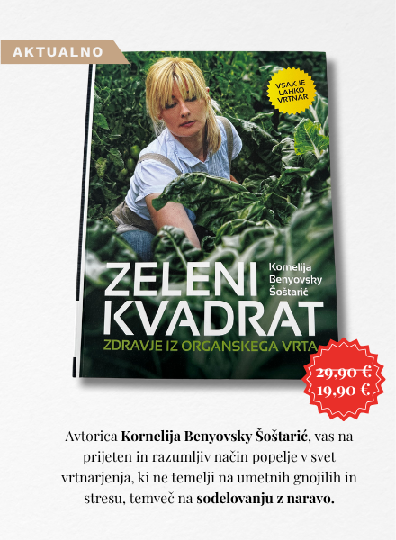 Zeleni kvadrat banner spodaj 1 - Spletna knjigarna Buča