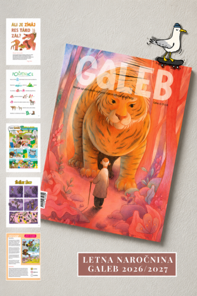 Galeb letna banner zgoraj new - Spletna knjigarna Buča