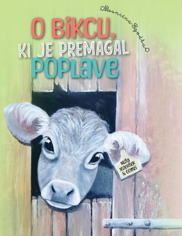 O bikcu, ki je premagal poplave – Nuša Jezeršek, resnična zgodba o teličku Gomziju