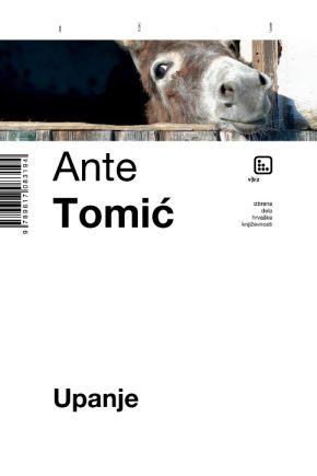 naslovnica knjige Upanje Anteja Tomića. roman o dalmatinskem otoku in beguncu.