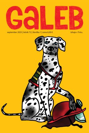 Galeb---01-(september-2025)-01