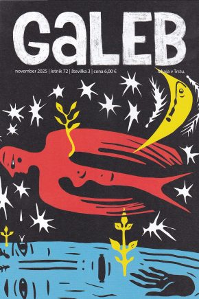 Galeb november 20251