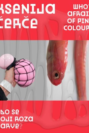 Ksenija-Cerce_Kdo-se-boji-roza-barve_naslovnica